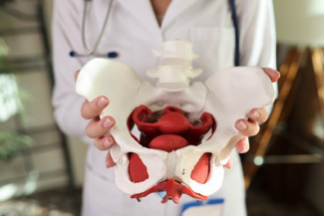 bladder-image
