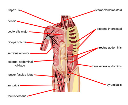 Core-stability