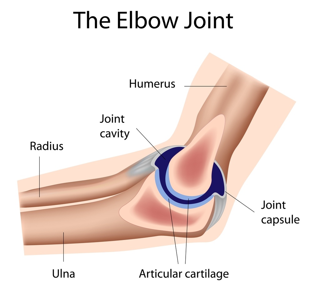 Elbow-joint-2