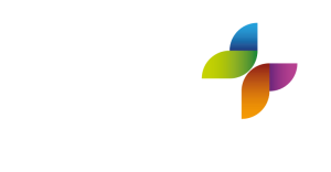 Nicky-Snazells_Logo-2017