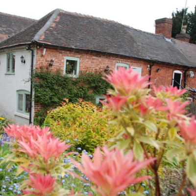 Stafford Physio Clinic in bloom