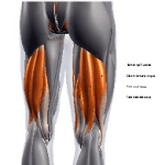 hamstring-pain