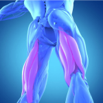 thigh-pain-diagnosis