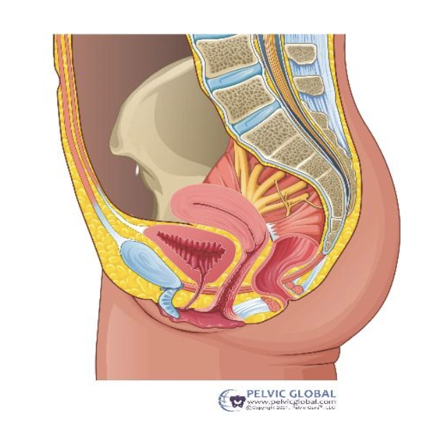 screenshot 2025 06 16 at 22.47.41