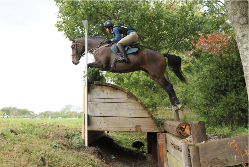 horse pic 2