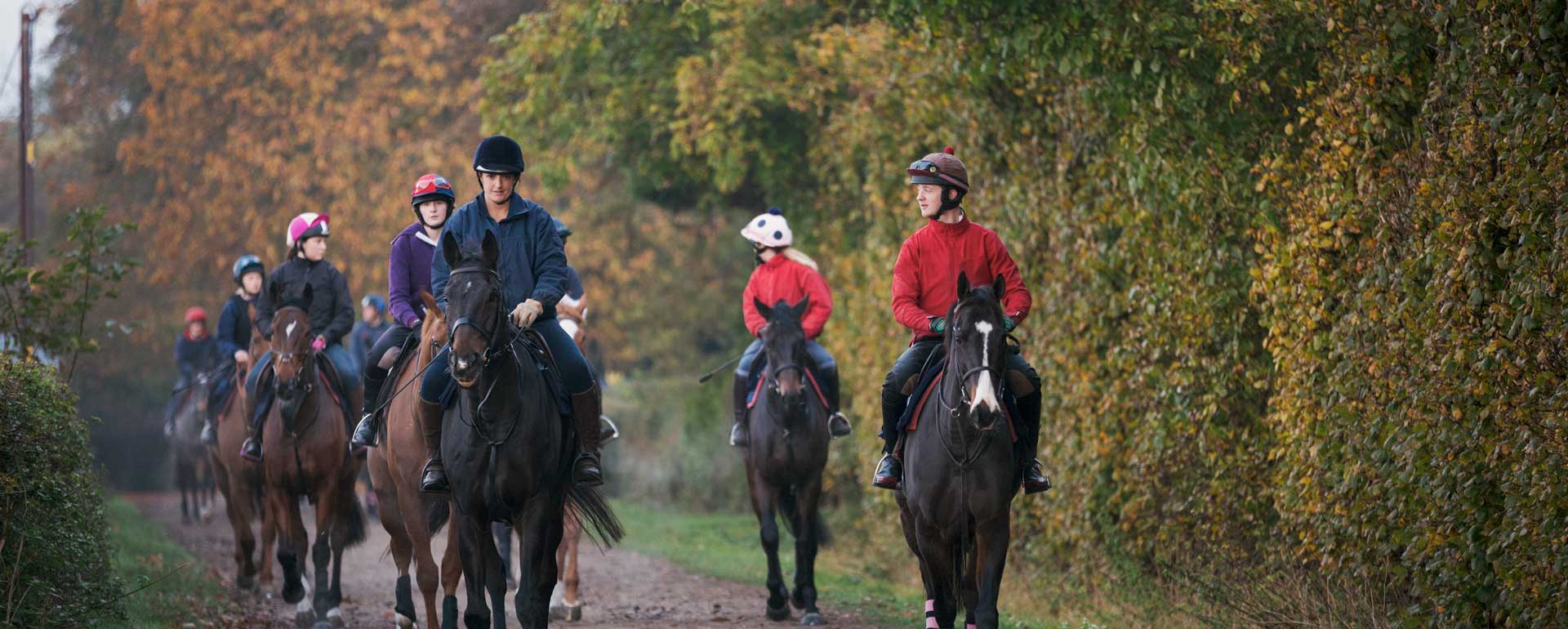 Struggling In The Saddle?